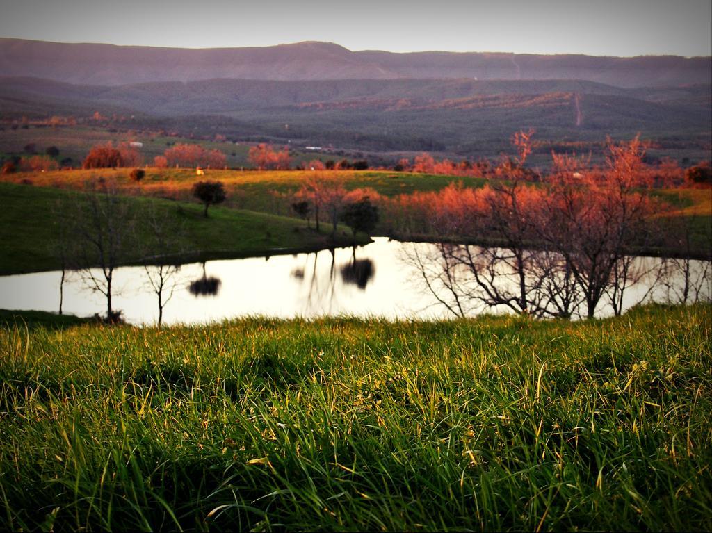 Casa Rural El Cabezo San Martín de Trevejo Eksteriør billede