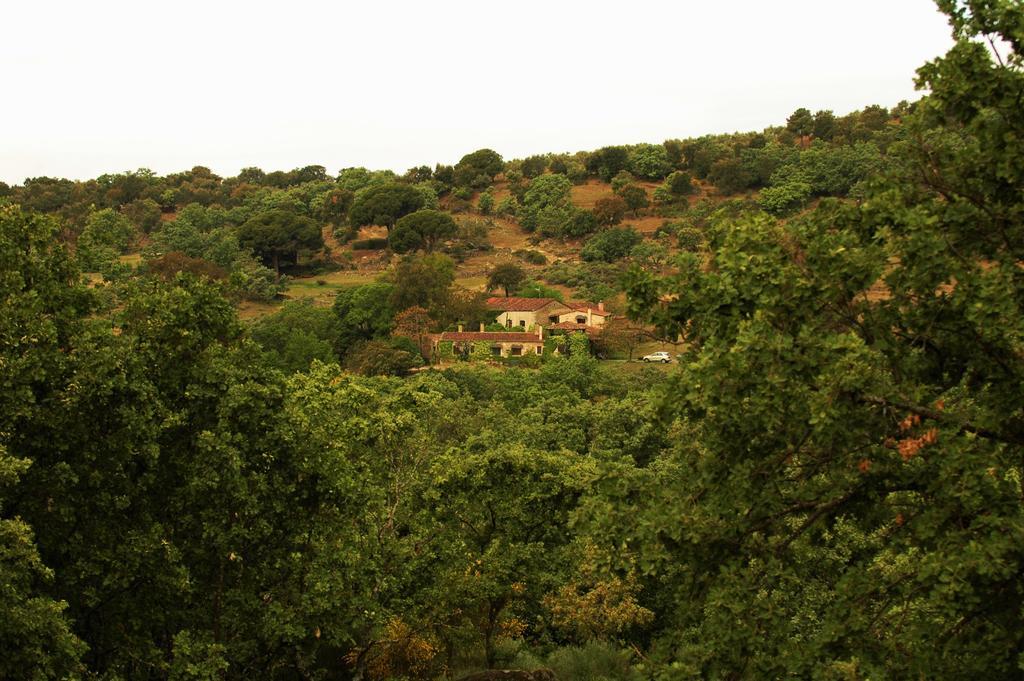 Casa Rural El Cabezo San Martín de Trevejo Eksteriør billede