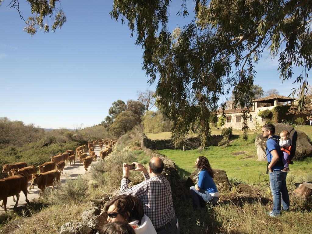 Casa Rural El Cabezo San Martín de Trevejo Eksteriør billede